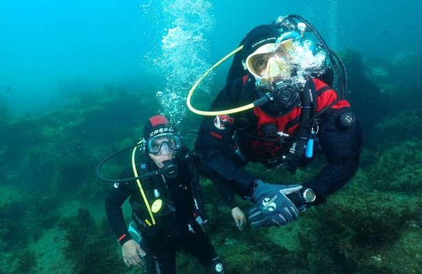 Scuba Diving Experience