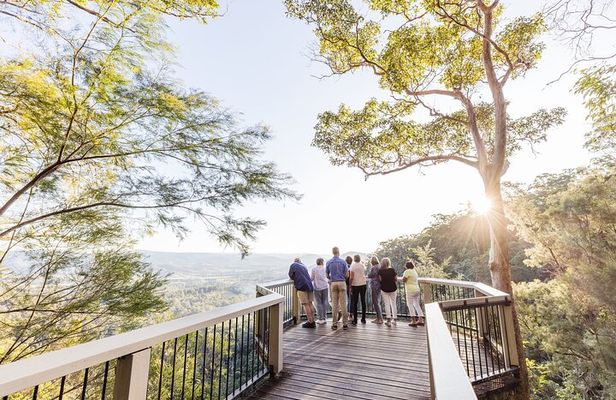 Sunshine Coast Hinterland Scenic Culinary Experience: Montville
