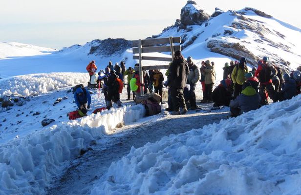 7 Days Machame Route Kilimanjaro Hiking | Climbing Tour