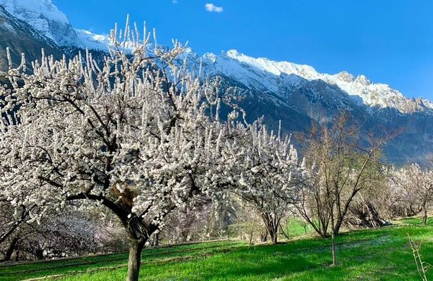 9-Day Package Tour Colors of Hunza Valley