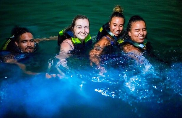 Full-Day Tour Baru - National Aviary and Playa Blanca + Bioluminescent Plankton