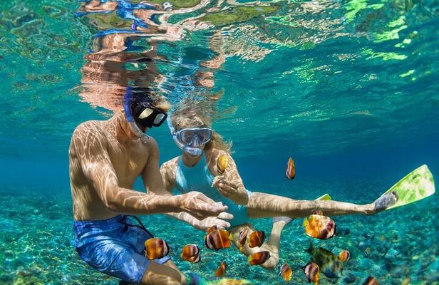 5-Island Speedboat Tour in Cartagena and the Rosario Islands
