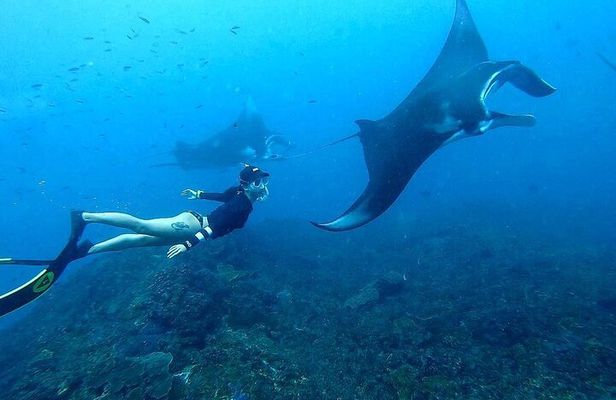 Snorkeling In Nusa Penida And Uluwatu Sunset Tours