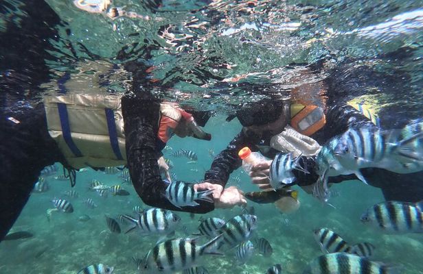 Snorkeling 3 Gili West Lombok Daily Tour (Gili Nanggu, Gili Sudak, Gili Kedis)