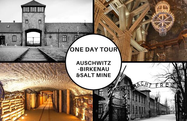 Krakow: Auschwitz-Birkenau and Salt Mine Guided Visits in One Day