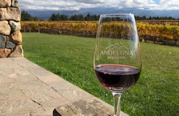 Malbec Madness Tour
