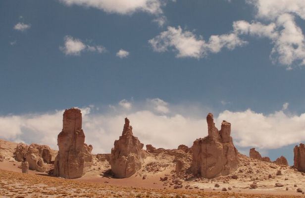 Half Day Tour to San Pedro de Atacama by Ruta de los Salares