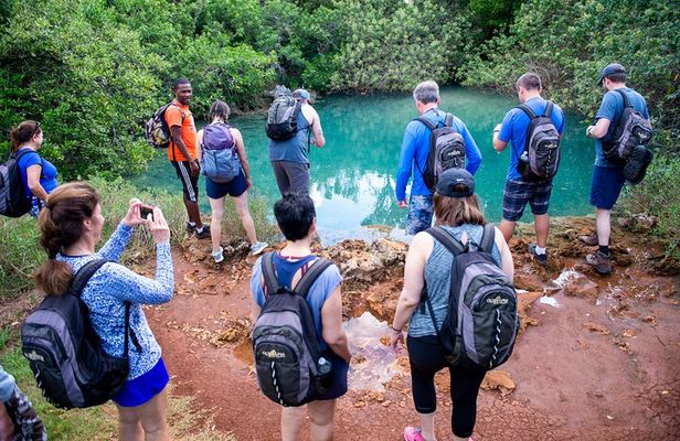 Bermuda Hidden Gems Half-Day Winter Excursion