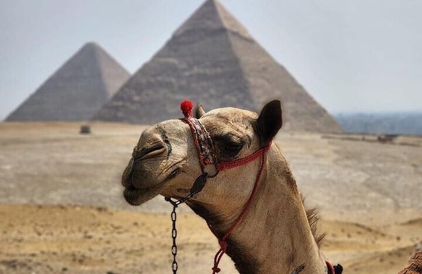 Half Day Tour To Giza Pyramids And Sphinx