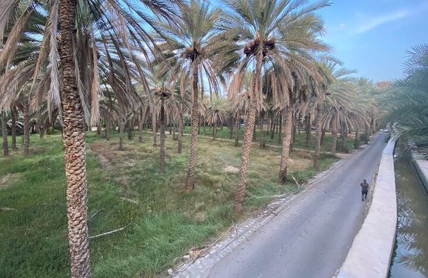 3 Hour Private Tour in Birkat Al Mouz