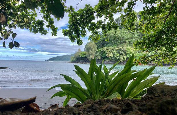 Tahiti: Tour of the East or West Coast (Half Day)
