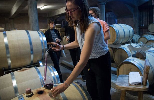 Uco Deluxe: Best wineries and real “asado argentino”