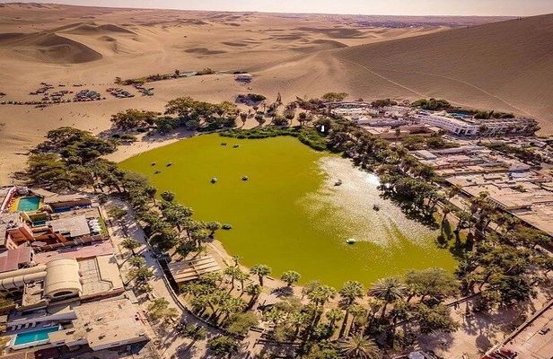 From Lima: Full day Paracas - Ica