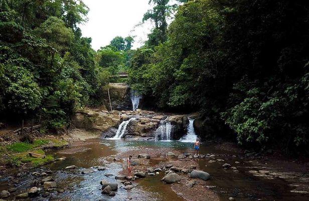 Cahuita National Park Nature Walk & Waterfall Tour