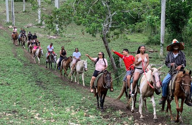 Horseback Riding with Pickup from Punta Cana