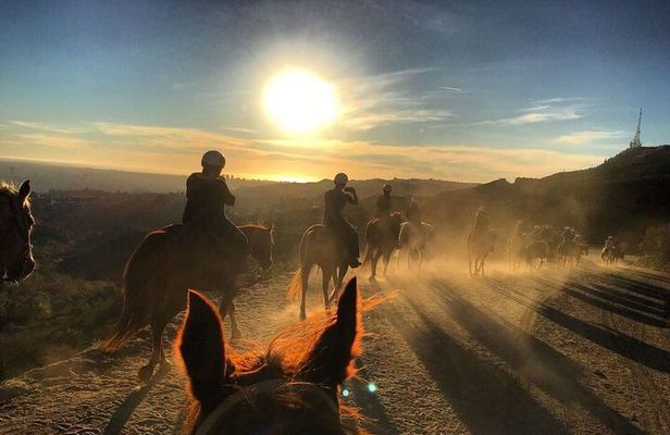 Mt. Hollywood Trail Tour on Horseback
