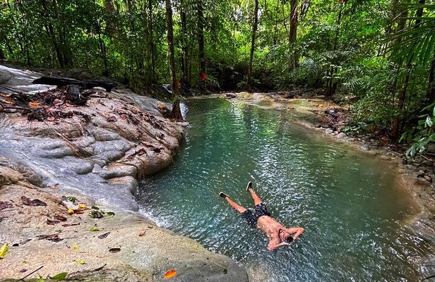 Ancient Lava Stream Trek through dense Tropical forest.