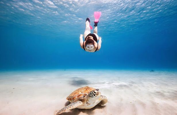 Turtle Sightseeing at Akumal & Underground Caves Tour