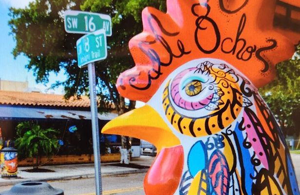 Little Havana Walking Tour + 1 Hour Everglades Airboat Ride