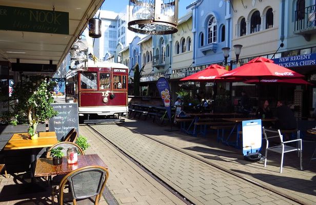 Christchurch - City, Beaches, Port & More by Tesla -6hrs