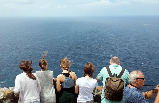 Cape Point & Penguins: A Private Cape Peninsula Guided Day Tour.