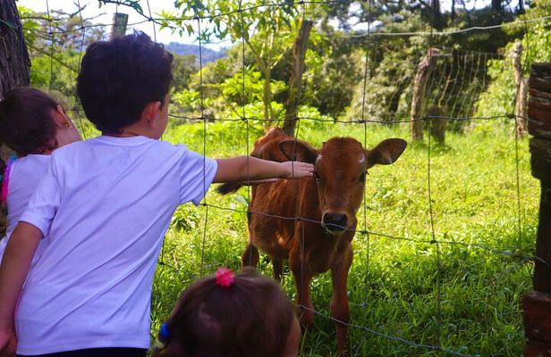 Finca El Paraiso Farm Cheese Tour in Monteverde