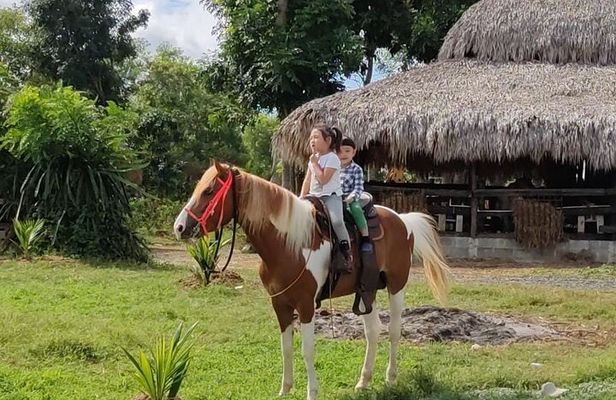 Horseback Riding tour near Santo Domingo with pick up and dropoff