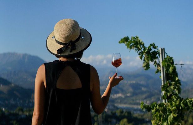 Vineyard Tour with Wine Tasting within Nice city borders