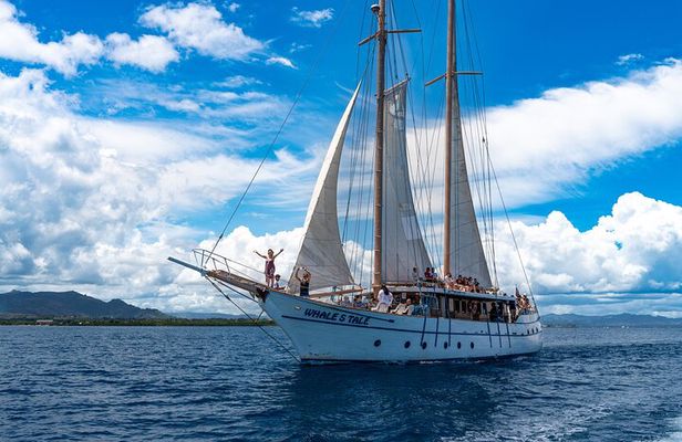 Whale's Tale Day Cruise from Port Denarau