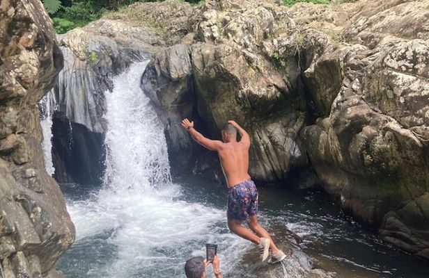 Immersive El Yunque Rainforest Adventure with Transportation
