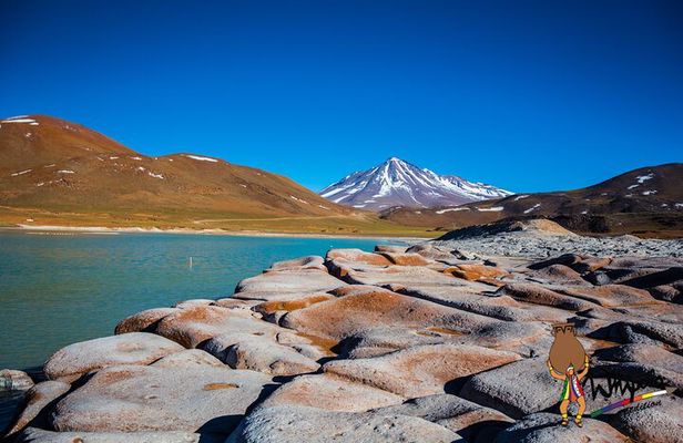 Piedras Rojas + Altiplanic Lagoons and Salar de Atacama