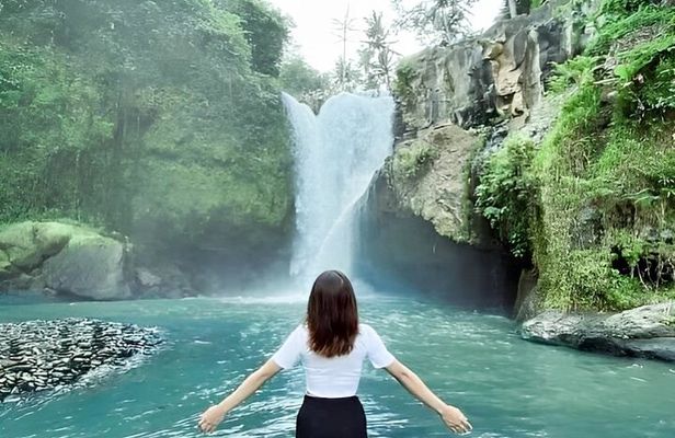 Ubud Day Tour: Sacred Monkey Forest, Tegenungan Waterfall, Rice Terrace