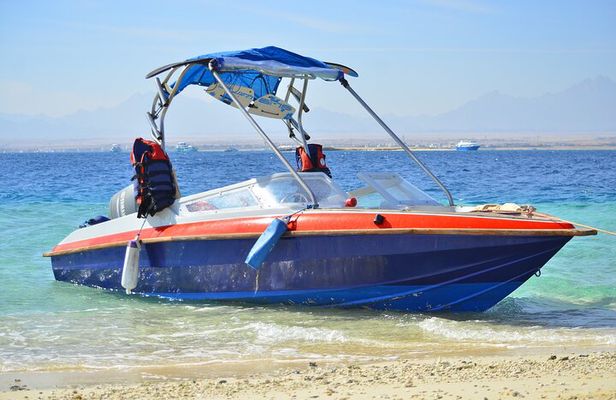 Dolphins house Snorkeling Trip By a Private Speed Boat - El Gouna