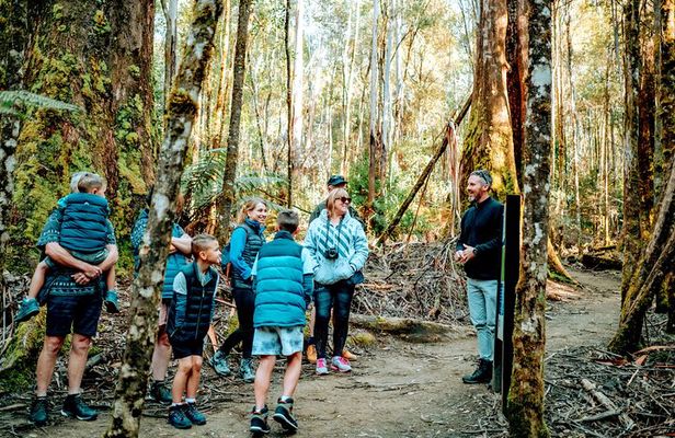 Day Tour in Mt. Field, Mt. Wellington, Bonorong Wildlife Sanctuary and Richmond
