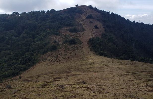 Private Half Day Hike to Ngong Hills from Nairobi