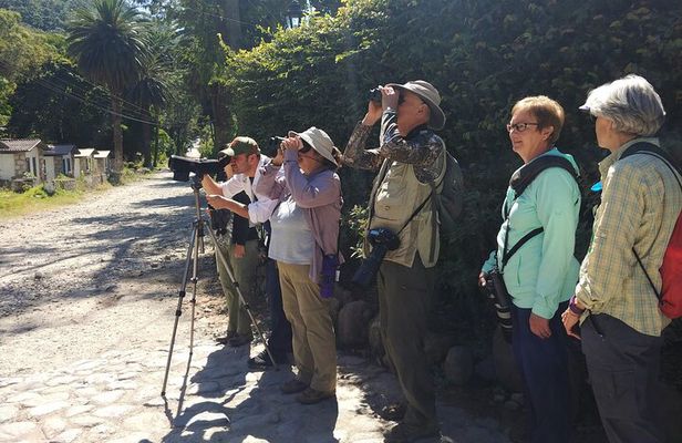 5-Hour Private Birdwatching Experience in San Juan La Laguna