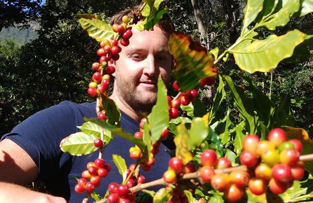 Coffee Walk Tour in San Juan La Laguna