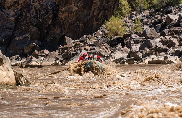 Westwater Canyon Full-Day Rafting Adventure from Moab