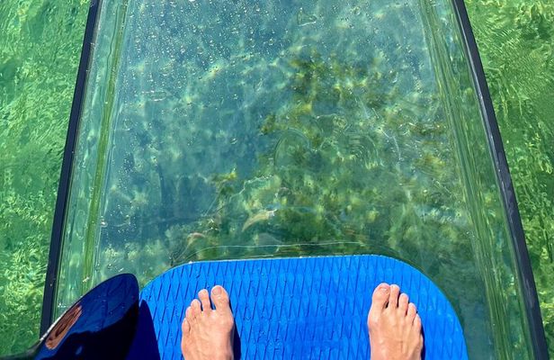 Weeki Wachee Clear Paddle Board Ecotours