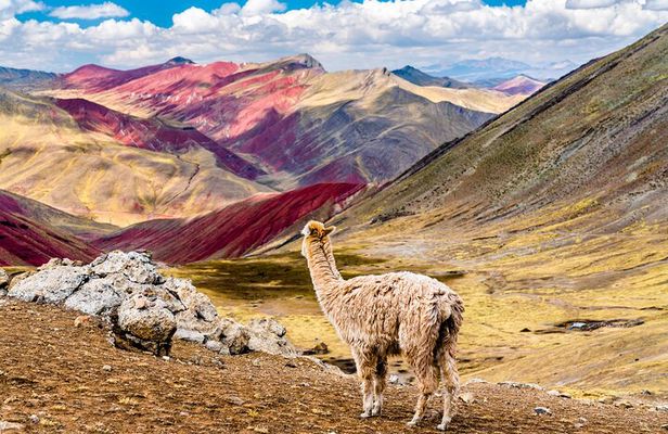 Full-Day Guided Tour to Palccoyo Rainbow Mountain
