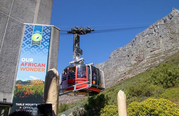 Table Mountain, Boulder's Penguins & Cape Point Private Tour from Cape Town