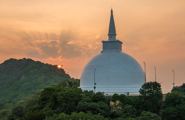 Delights of Sri Lanka