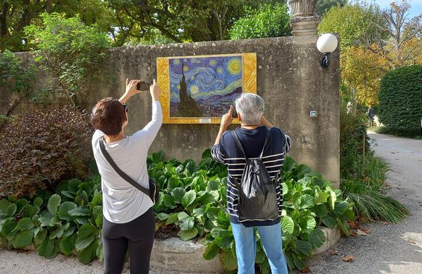 In the footsteps of Van Gogh in Provence from Avignon