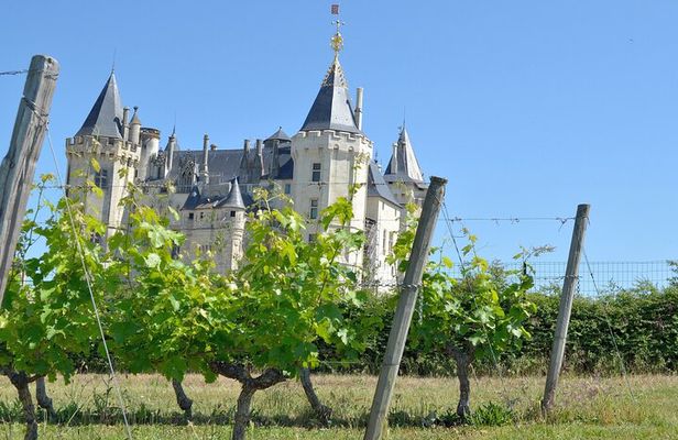 Loire Valley Wine Tour in Chinon & Bourgueil