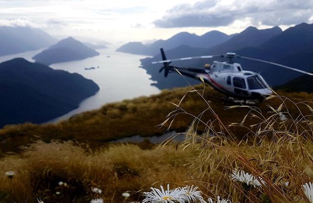 Dusky Sound // Helicopter Scenic Flight
