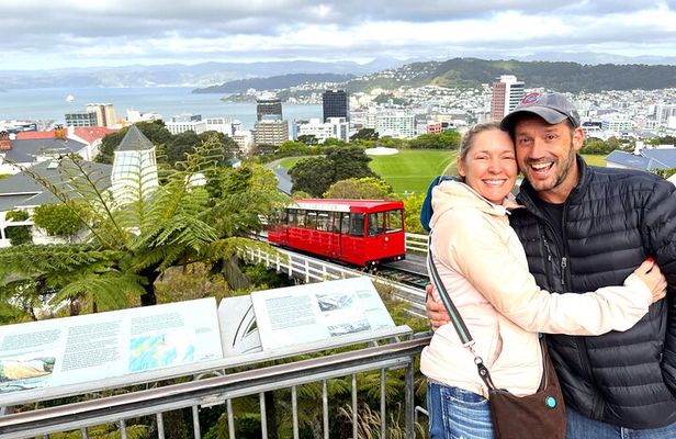 Spectacular Wellington: Half Day Private Sightseeing Tour