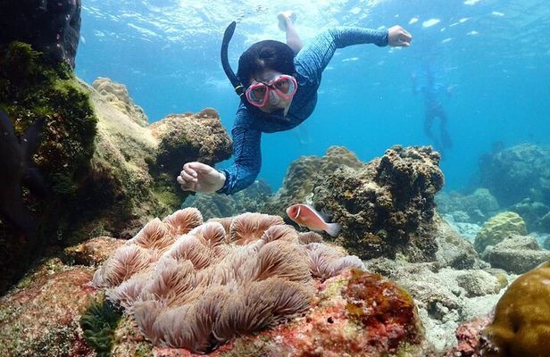 Snorkeling Full Day Experience from Bangkok