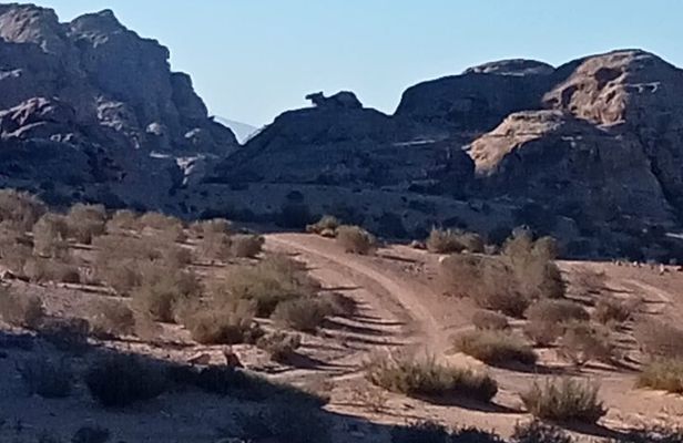 Petra Back-Road Trail and Hike