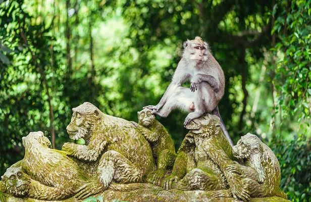 All-Inclusive Ubud Bali Private Full-Day Tour