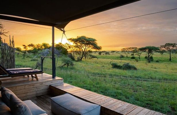 6 Days best adventure kilimanjaro ,Tarangire ,Serengeti &Ngorongoro crater